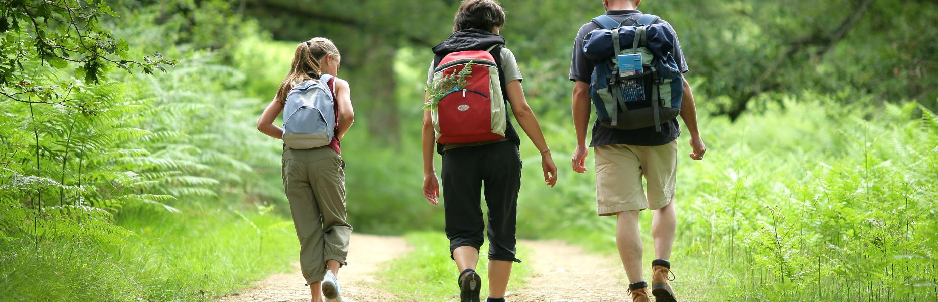 Actividades familiares y culturales